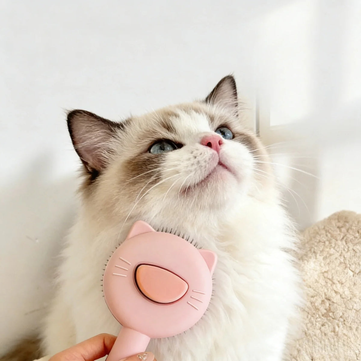 Pawvera™ ClickClean Pet Brush